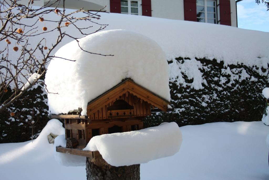 Pension Wendelstein Miesbach Exterior foto